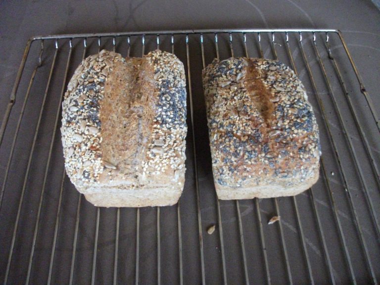 Themenwochen: Dinkel-Vollkorn-Saatenbrot, Dinkel-VK-Weckle, Körner ...